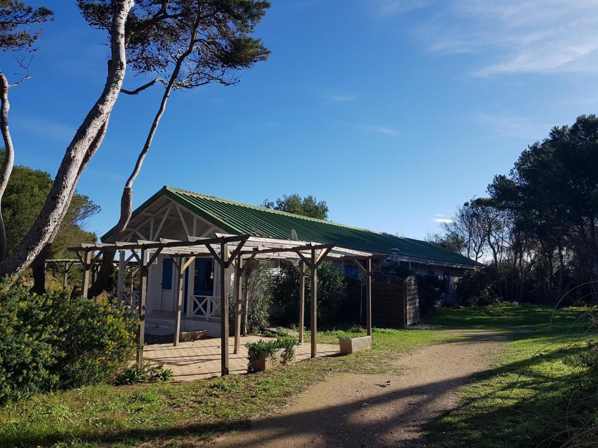 Le Studio De Giens Hyeres Ngoại thất bức ảnh