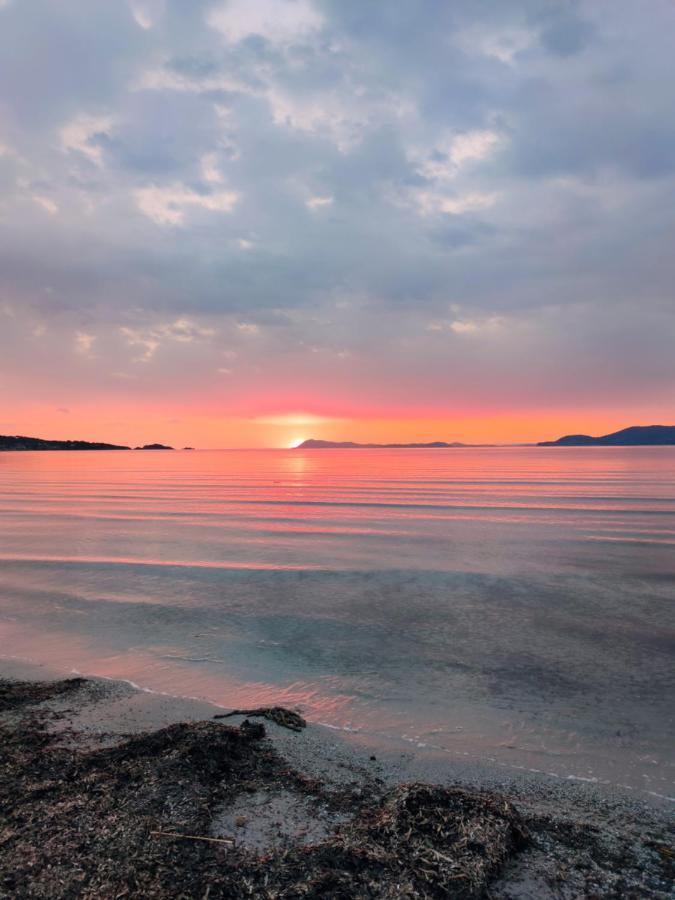 Le Studio De Giens Hyeres Ngoại thất bức ảnh