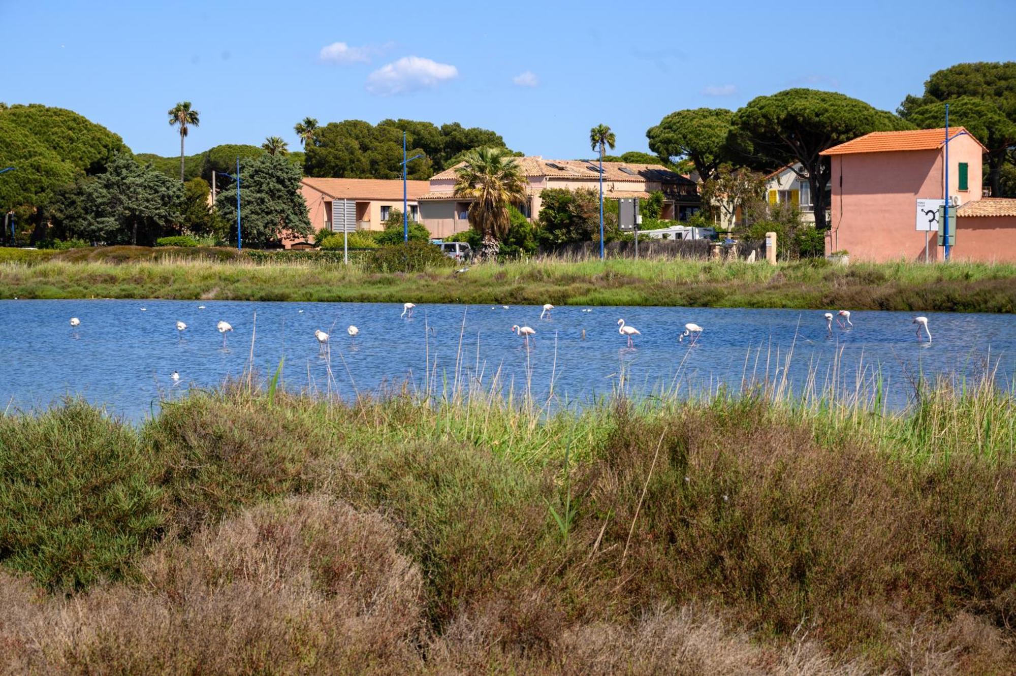 Le Studio De Giens Hyeres Ngoại thất bức ảnh