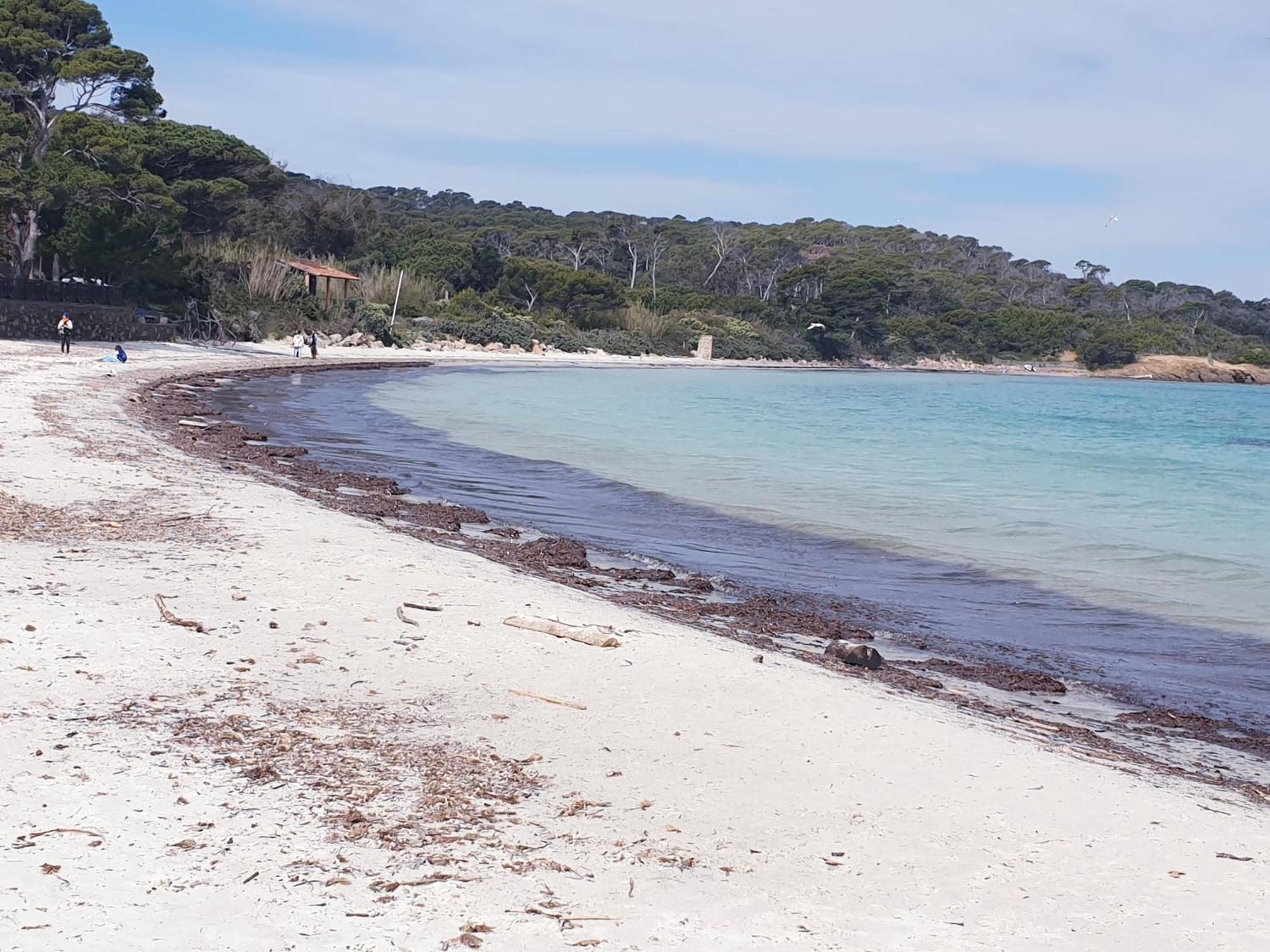 Le Studio De Giens Hyeres Phòng bức ảnh